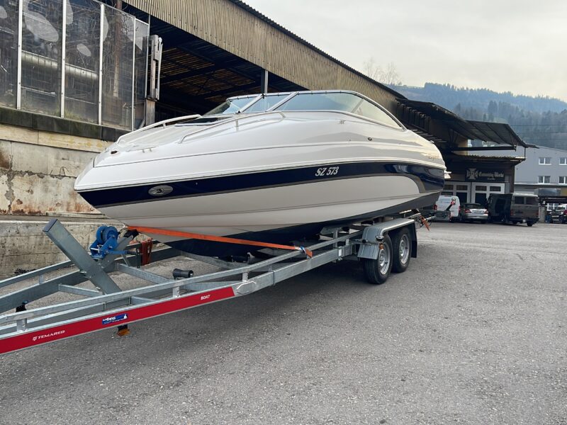 Bryant Motorboot Sportboot mit Schiffsführer auf dem Vierwaldstättersee Brunnen SZ bis 6 Personen